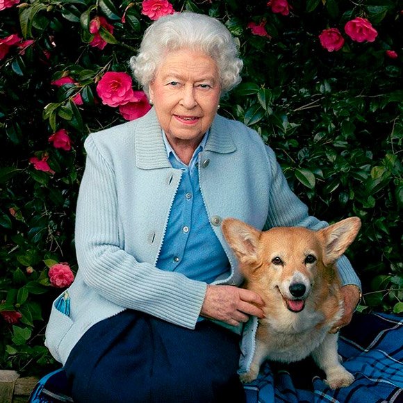 Королевский пшик: Елизавета II создала парфюм для собак