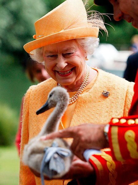 Лебеди, будильник и футбол: удивительные факты о королеве Елизавете II